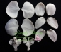 Preview: Moth Orchid Petals and Throat Veiner Set By Simply Nature Botanically Correct Products®